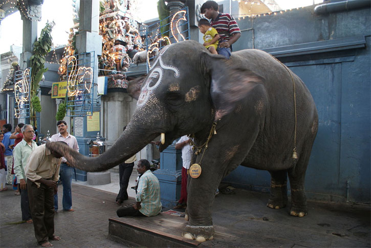 Pondicherry Temples